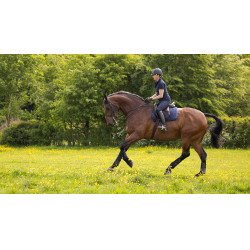 Sottosella da lavoro LeMieux Dressage Blu navy