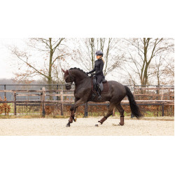 Tappeto LeMieux Crystal Suede Dressage Tappeto LeMieux Crystal Suede Dressage