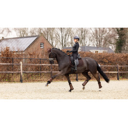 Tappeto LeMieux Crystal Suede Dressage Tappeto LeMieux Crystal Suede Dressage
