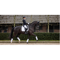 Tappeto LeMieux Crystal Suede Dressage Tappeto LeMieux Crystal Suede Dressage