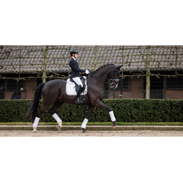 Tappeto LeMieux Crystal Suede Dressage Tappeto LeMieux Crystal Suede Dressage