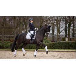 Tappeto LeMieux Crystal Suede Dressage Tappeto LeMieux Crystal Suede Dressage