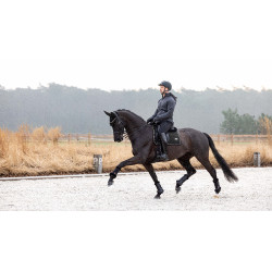 Sottosella LeMieux Puissance Suede Dressage Square Sottosella LeMieux Puissance Suede Dressage Square