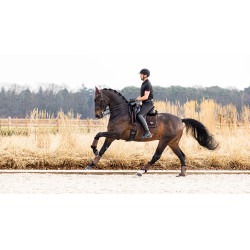 Sottosella LeMieux Puissance Suede Dressage Square Marrone Sottosella LeMieux Puissance Suede Dressage Square Marrone
