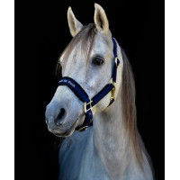 Capezzina Werano Back On Track Nero Capezzina Werano Back On Track Nero