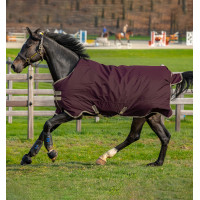 Coperta Horseware Amigo Hero Ripstop Lite 0g Fico Viola Coperta Horseware Amigo Hero Ripstop Lite 0g Fico Viola