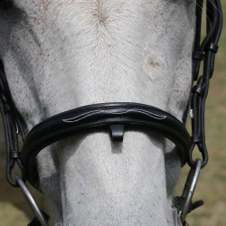 Briglia con ponte Raphaël T de T Nero Briglia con ponte Raphaël T de T Nero