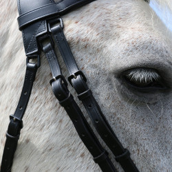 Briglia con ponte Raphaël T de T Nero Briglia con ponte Raphaël T de T Nero