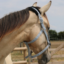 Capezzina in montone sintetico T de T Grigio / nero