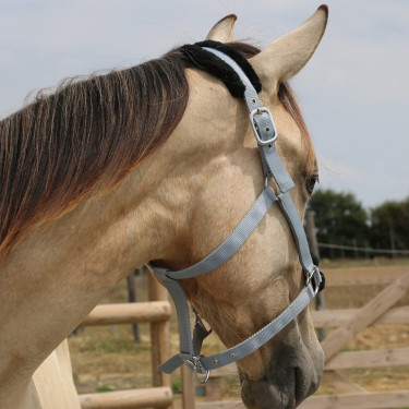 Capezzina in montone sintetico T de T Grigio / nero