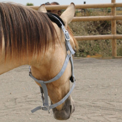 Capezzina in montone sintetico T de T Grigio / nero