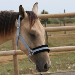 Capezzina in montone sintetico T de T Grigio / nero