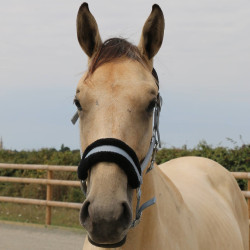 Capezzina in montone sintetico T de T Grigio / nero