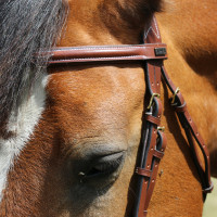 Briglia Kessel T de T capezzina tripla con museruola combinata Havana scuro Marrone