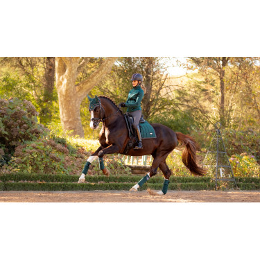 Fasce da polo Loire LeMieux Verde abete Fasce da polo Loire LeMieux Verde abete