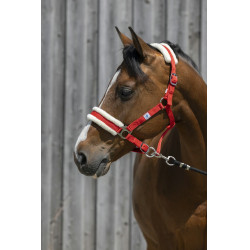 Capestro Riding World in montone sintetico Capestro Riding World in montone sintetico