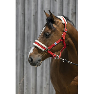 Capestro Riding World in montone sintetico Capestro Riding World in montone sintetico