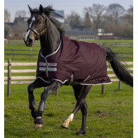 Coperta Horseware Amigo Hero Ripstop 50g Fico / argento