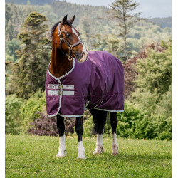 Coperta Horseware Amigo Hero Ripstop 200g
