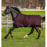 Coperta Horseware Amigo Hero Ripstop Turnout foderata in pile 50g Fico / fico Bordeaux Coperta Horseware Amigo Hero Ripstop Turnout foderata in pile 50g Fico / fico Bordeaux
