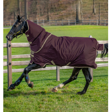 Coperta Horseware Amigo Hero Ripstop Plus con copricollo 0g Fico / blu navy Coperta Horseware Amigo Hero Ripstop Plus con copricollo 0g Fico / blu navy