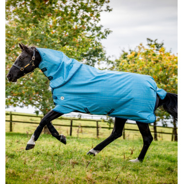 Coperta Horseware Amigo Hero 900 Revive Plus 50g Coperta Horseware Amigo Hero 900 Revive Plus 50g
