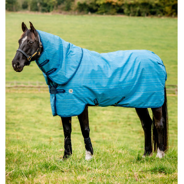 Coperta Horseware Amigo Hero 900 Revive Plus 50g Coperta Horseware Amigo Hero 900 Revive Plus 50g
