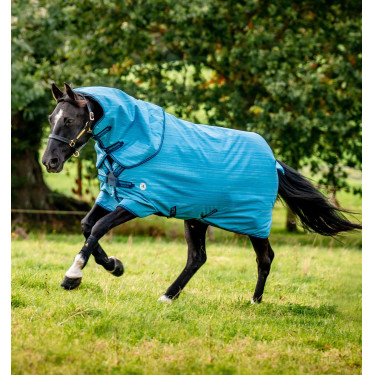 Coperta Horseware Amigo Hero 900 Revive Plus 200g Coperta Horseware Amigo Hero 900 Revive Plus 200g