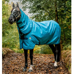 Coperta Horseware Amigo Hero 900 Revive Plus 200g Coperta Horseware Amigo Hero 900 Revive Plus 200g