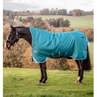 Coperta Horseware Amigo Bravo 12 Wug 0g Verde temporale / turchese Coperta Horseware Amigo Bravo 12 Wug 0g Verde temporale / turchese
