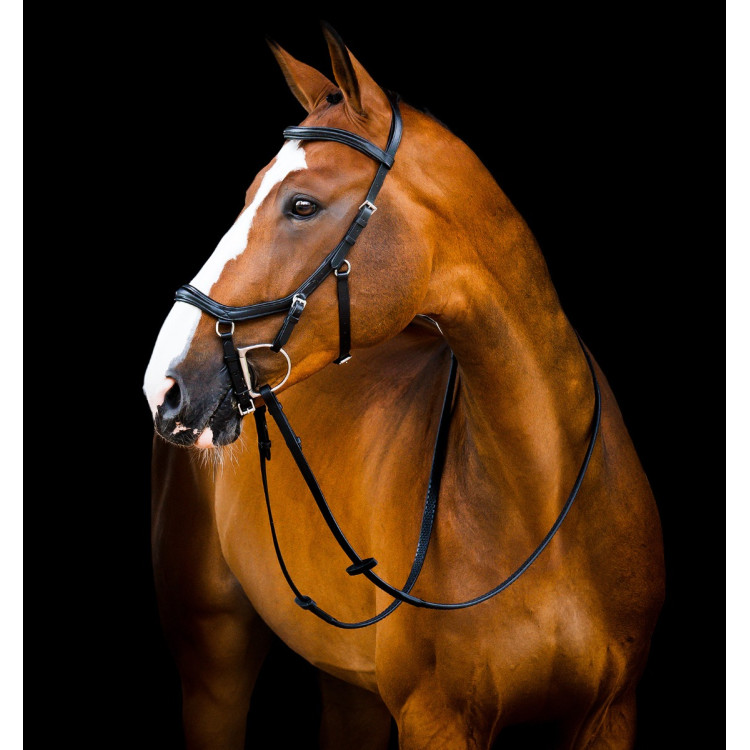 Briglia Horseware Micklem 2 Deluxe Competition redini in gomma