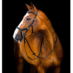 Briglia Horseware Micklem 2 Deluxe Competition