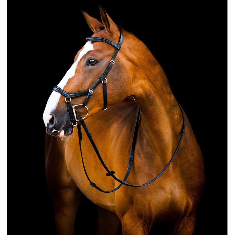 Briglia Horseware Micklem 2 Deluxe Competition