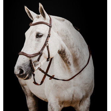 Briglia Horseware Micklem 2 Deluxe Competition Havana scuro Marrone