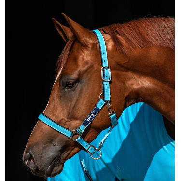 Cavezza Horseware Amigo Cavezza Horseware Amigo