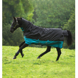 Coperta Horseware Mio All-in-One 200g