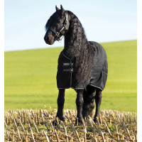 Coperta da box Horseware Rambo 100g Nero / nero / argento