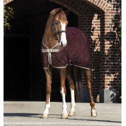 Camicina traspirante a rete Horseware Amigo 0g Camicina traspirante a rete Horseware Amigo 0g