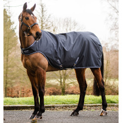 Coperta da passeggio Horseware Amigo 100g
