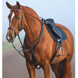 Pettorale Horseware Micklem