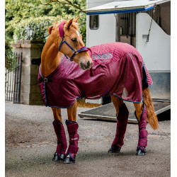 Coperta da trasporto Horseware Rambo Travel Series 50g
