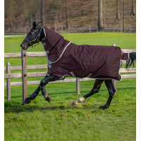 Coperta Horseware Amigo Hero Ripstop Plus con copricollo 200g Fico / argento
