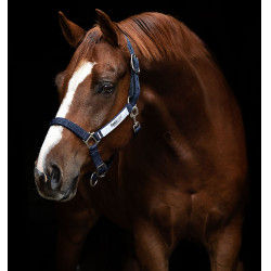 Cavezza di sicurezza Horseware Field Safe