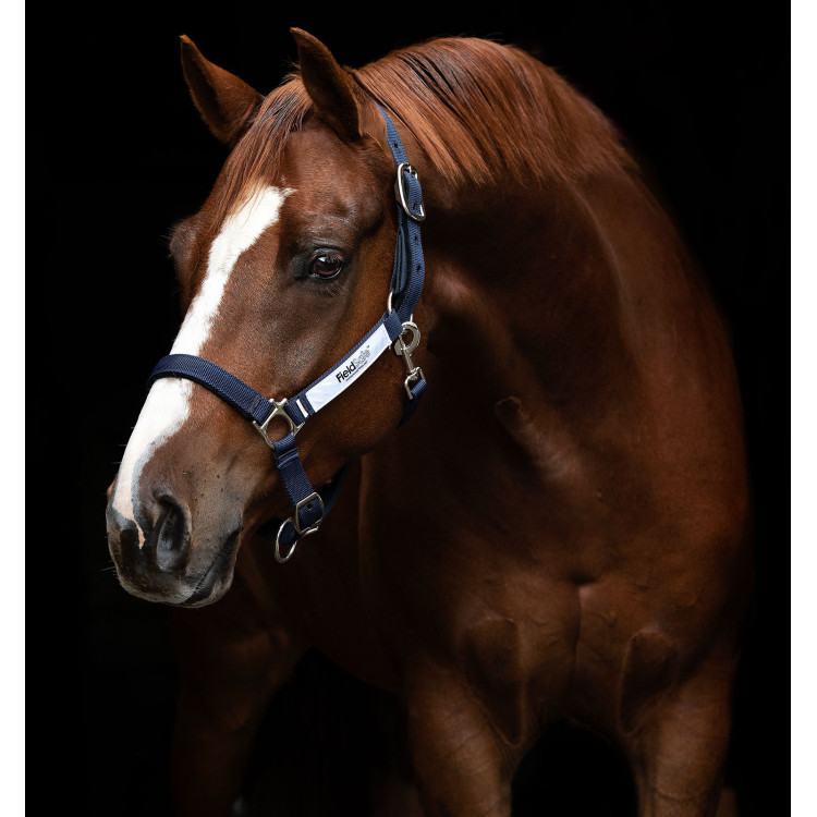 Cavezza di sicurezza Horseware Field Safe