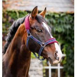 Capestro Horseware Rambo foderato in pile Capestro Horseware Rambo foderato in pile