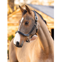 Capestro da toelettatura in cuoio LeMieux Marrone