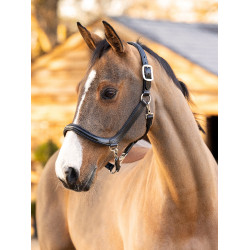 Capestro da toelettatura in cuoio LeMieux Nero