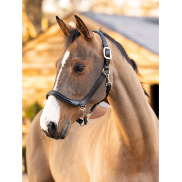 Capestro da toelettatura in cuoio LeMieux Nero