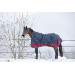 Coperta Equithème Tyrex 1200 D High Neck Marino / bordeaux Blu Coperta Equithème Tyrex 1200 D High Neck Marino / bordeaux Blu