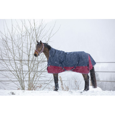 Coperta Equithème Tyrex 1200 D High Neck Coperta Equithème Tyrex 1200 D High Neck